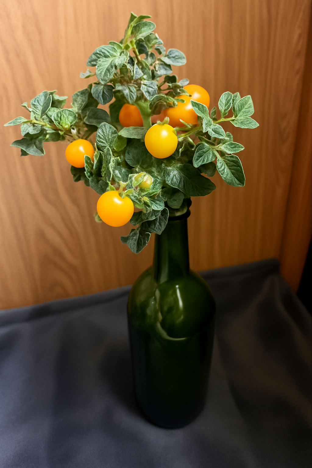 Cherry Tomato Kit - Bottle Blossom