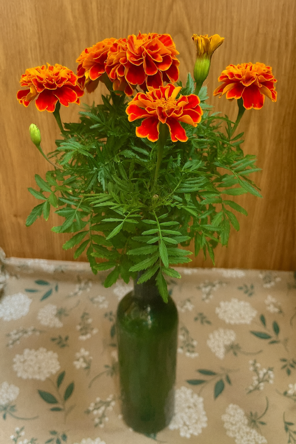 Edible Flowers Kit - Bottle Blossom