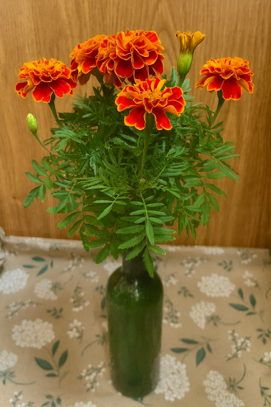 Edible Flowers Kit - Bottle Blossom